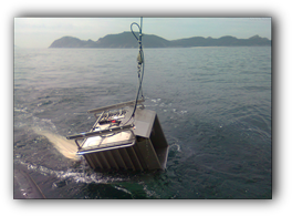 Multinet sampling